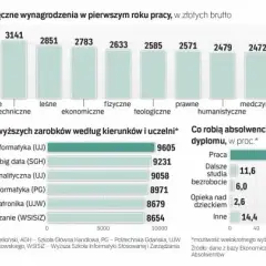 Pierwsza praca po studiach zarobki – co naprawdę możesz zarobić?