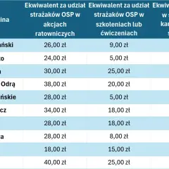 Tabela pokazuje, czy w OSP się zarabia. Widać stawki za udział w akcjach ratowniczych i szkoleniach w różnych gminach.