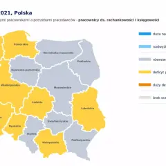 Co można robić po studiach finanse i rachunkowość? Sprawdź możliwości kariery