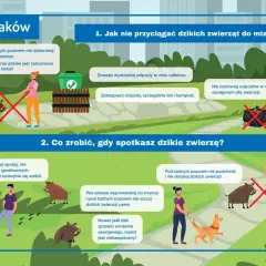 Kraków: nie dokarmiaj dzików, zabezpieczaj śmieci. Gdy spotkasz dzika, zachowaj spokój. Parytet co to znaczy? Równość w traktowaniu ludzi i zwierząt.