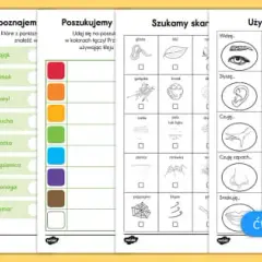 Zajęcia terenowe z przyrody karty pracy - skuteczne metody nauki w terenie