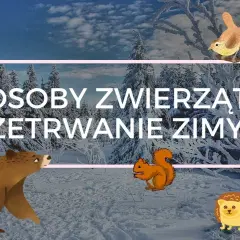 Jak zwierzęta przygotowują się do zimy - film edukacyjny dla dzieci