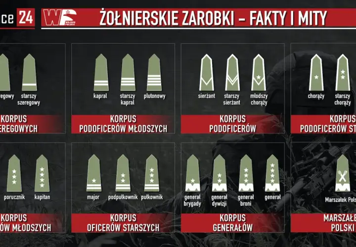 Grafika pokazuje stopnie wojskowe i korpusy, od szeregowego do Marszałka Polski. Dowiedz się, ile zarabia żołnierz po studiach.