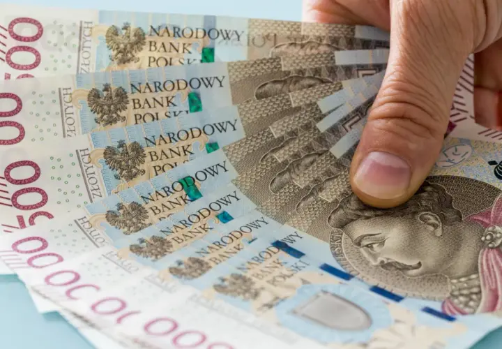 Zastanawiasz się, ile zarabia wychowawca kolonijny? Na zdjęciu polskie banknoty 500 zł, które mogą być częścią wynagrodzenia.