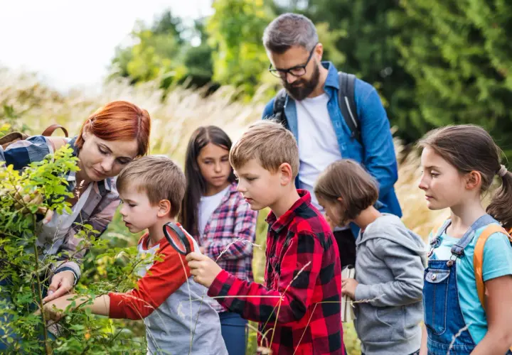 Grupa dzieci i dorosłych ogląda rośliny w lesie, jedno dziecko używa lupy.