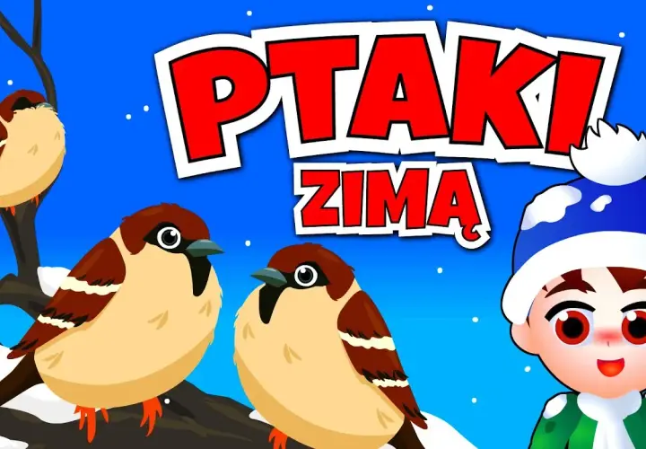 Edukacyjne filmy o ptakach, które odlatują na zimę dla dzieci