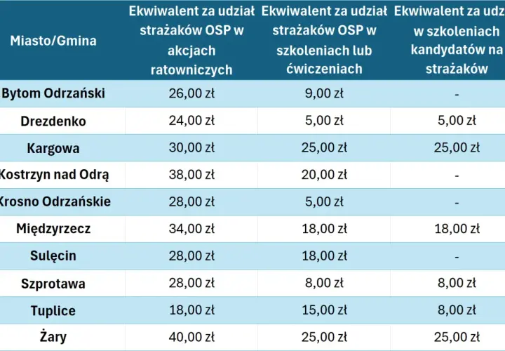Tabela pokazuje, czy w OSP się zarabia. Widać stawki za udział w akcjach ratowniczych i szkoleniach w różnych gminach.
