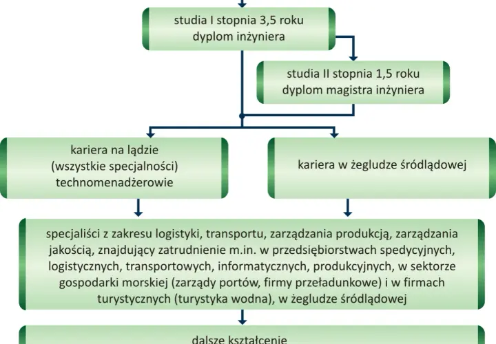 Co można robić po studiach logistycznych? Praca i możliwości kariery