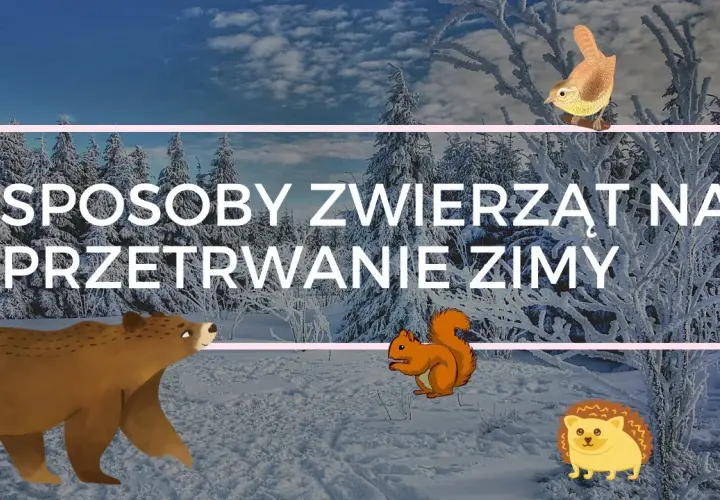 Jak zwierzęta przygotowują się do zimy - film edukacyjny dla dzieci