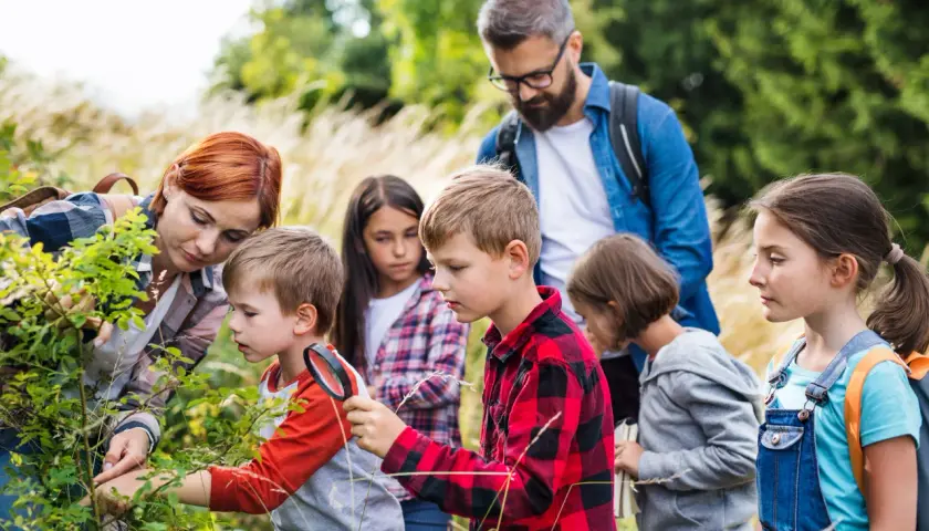 Grupa dzieci i dorosłych ogląda rośliny w lesie, jedno dziecko używa lupy.