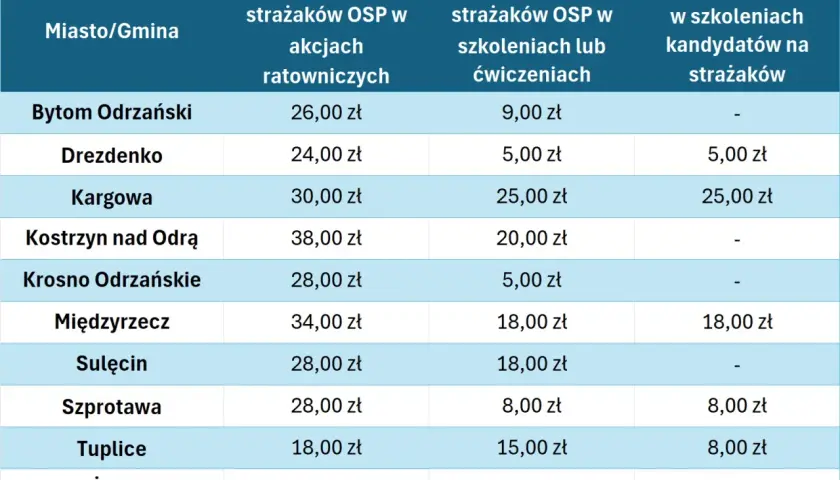 Tabela pokazuje, czy w OSP się zarabia. Widać stawki za udział w akcjach ratowniczych i szkoleniach w różnych gminach.