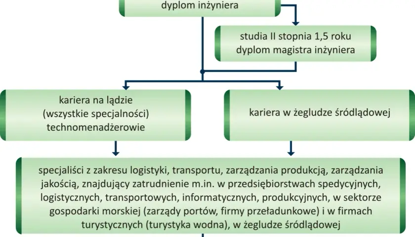 Co można robić po studiach logistycznych? Praca i możliwości kariery