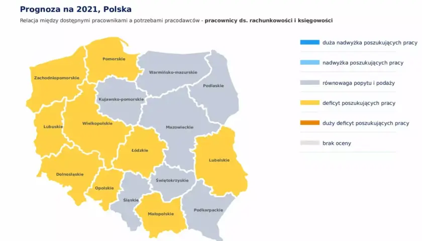 Co można robić po studiach finanse i rachunkowość? Sprawdź możliwości kariery