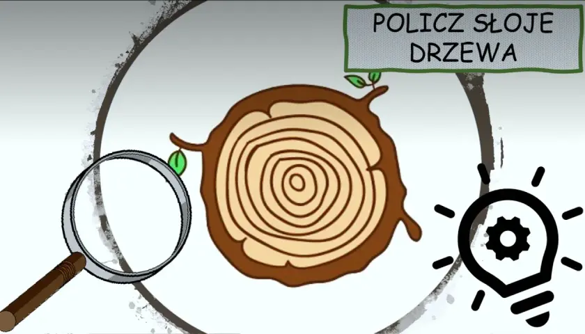 Skąd się bierze papier? Fascynujący film edukacyjny dla dzieci
