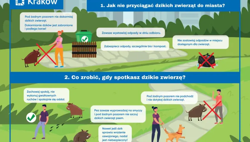 Kraków: nie dokarmiaj dzików, zabezpieczaj śmieci. Gdy spotkasz dzika, zachowaj spokój. Parytet co to znaczy? Równość w traktowaniu ludzi i zwierząt.