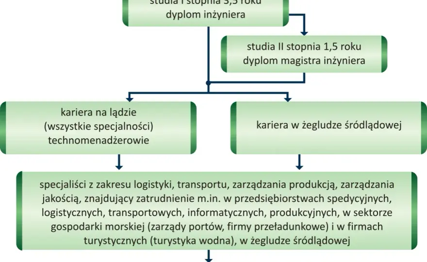 Co można robić po studiach logistycznych? Praca i możliwości kariery