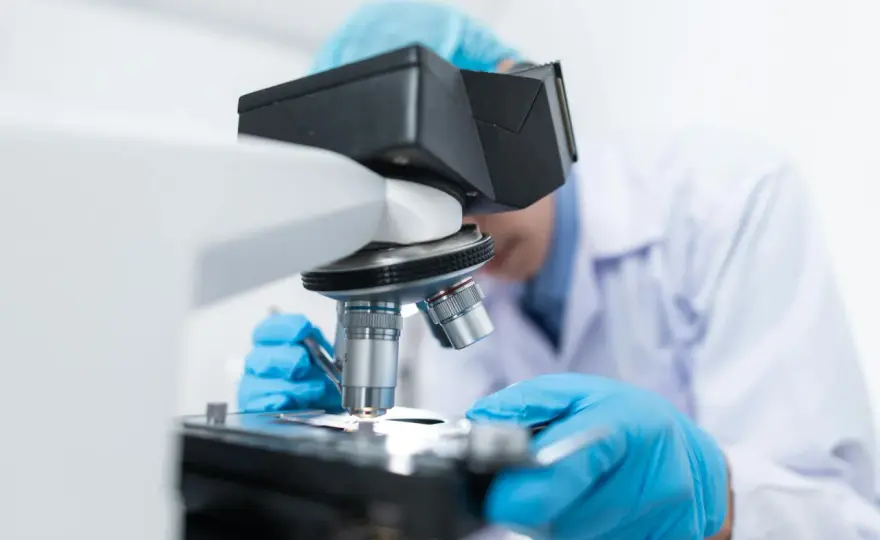 Rozszerzona biologia: Kierunki studiów i kariera po maturze