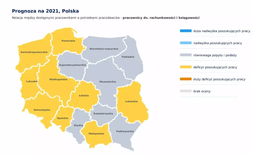 Co można robić po studiach finanse i rachunkowość? Sprawdź możliwości kariery
