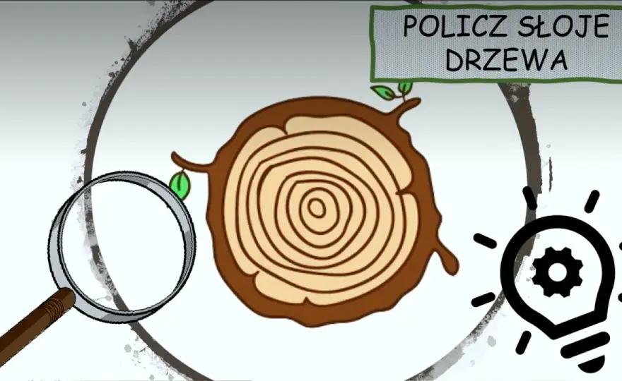 Skąd się bierze papier? Fascynujący film edukacyjny dla dzieci