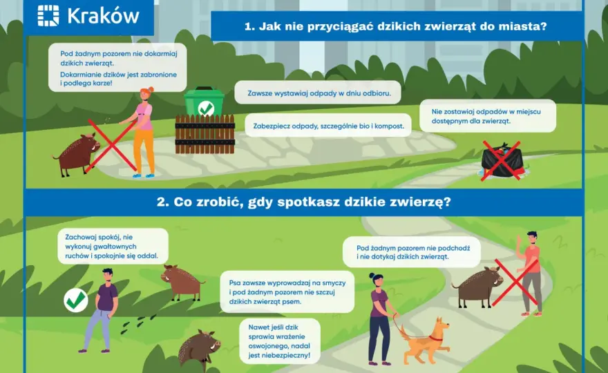 Parytet: Co to znaczy i gdzie go spotkasz? Wyjaśniamy.