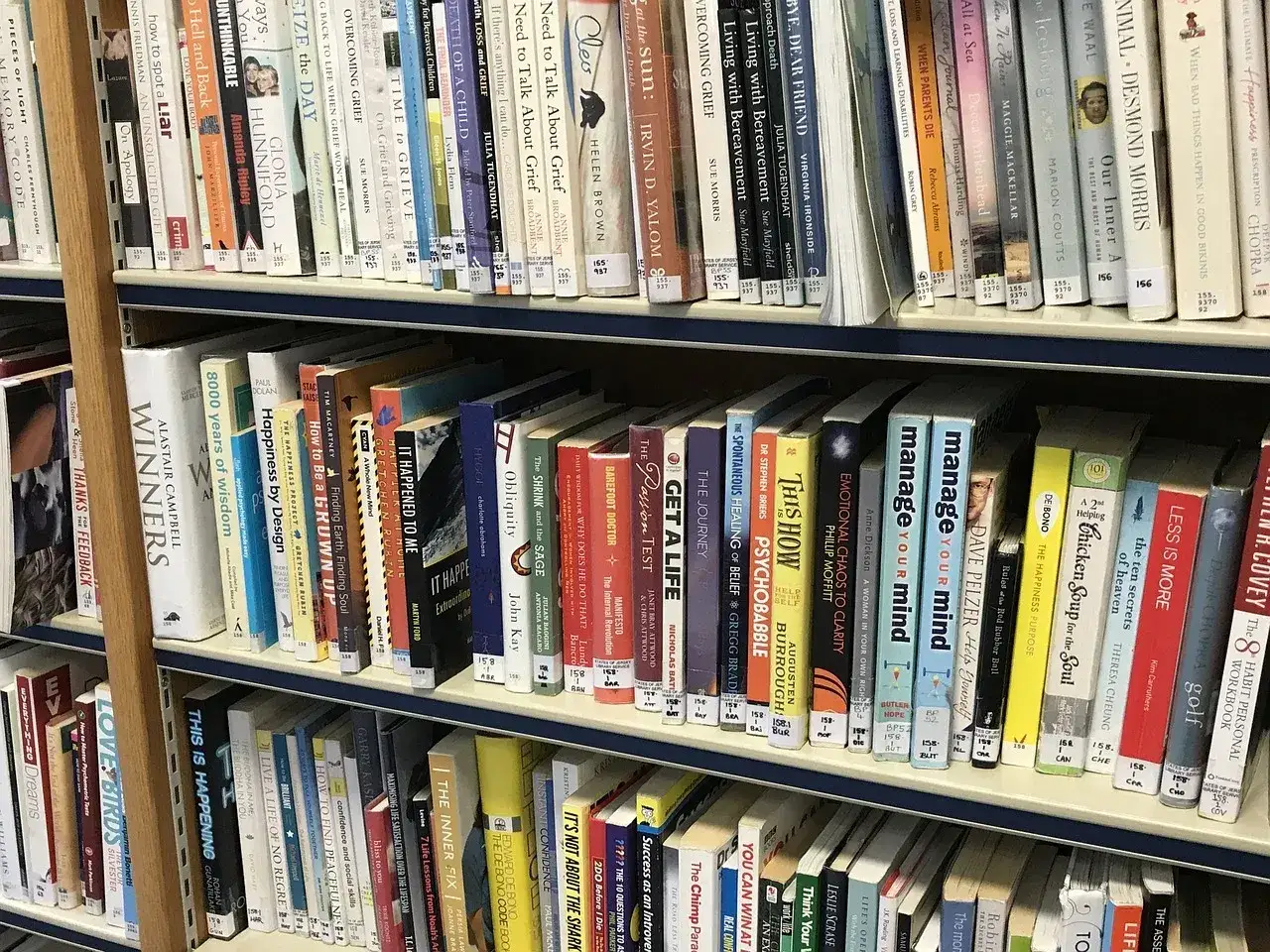 Książki na półkach bibliotecznych, niektóre z nich mogą być związane z system edukacji w Finlandii.